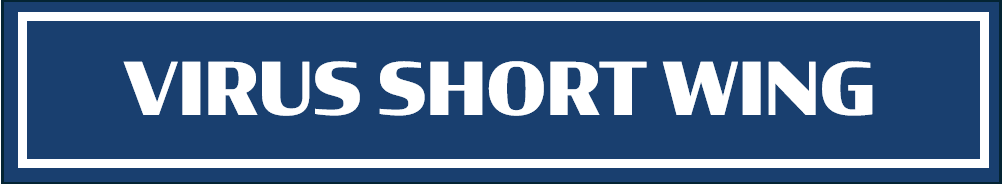 VSW