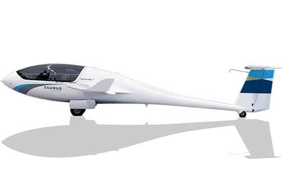 Taurus Electro