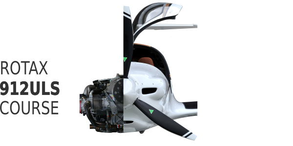 Rotax engine